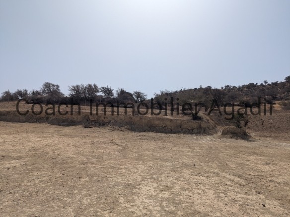 TERRAIN TITRE 13 000m² proche AGADIR