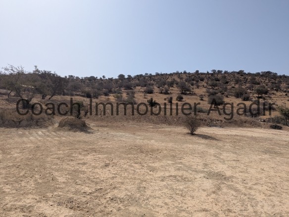 TERRAIN TITRE 13 000m² proche AGADIR